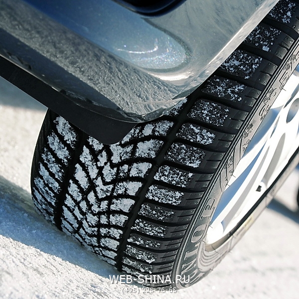 Dunlop SP Winter Sport 4D